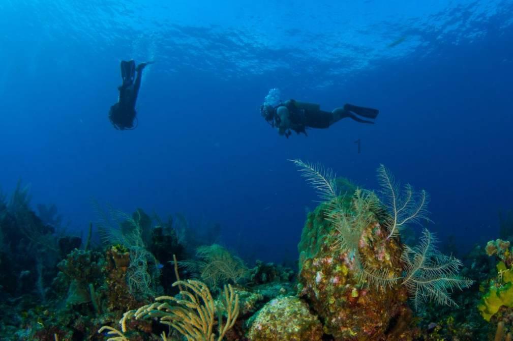 青海海东民和筑牢灾后重建就业基础